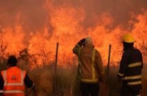 CONCEJALES SOLICITARON AL EJECUTIVO MUNICIPAL REALICE GESTIONES PARA EVITAR POSIBLES INCENDIOS EN EL DEPARTAMENTO DE MALARGÜE