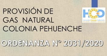 ORDENANZA N° 2.031/2.020
