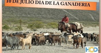 10 DE JULIO- DIA DE LA GANADERIA