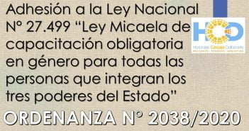 ORDENANZA N° 2.038/2.020