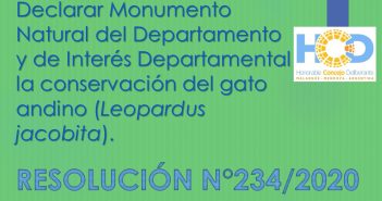 RESOLUCIÓN N° 234/2.020