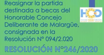 RESOLUCIÓN N° 246/2.020