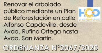 ORDENANZA N° 2.067/2.020