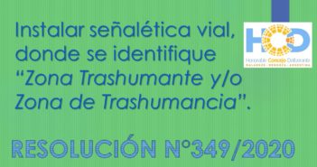 RESOLUCIÓN N° 349/2.020