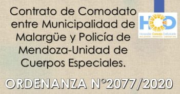 ORDENANZA N° 2.077/2.020