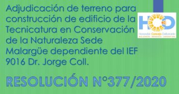 RESOLUCIÓN N° 377/2.020