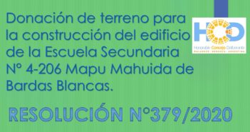 RESOLUCIÓN N° 379/2.020