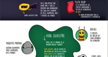 DÍA MUNDIAL DE LA VIDA SILVESTRE
