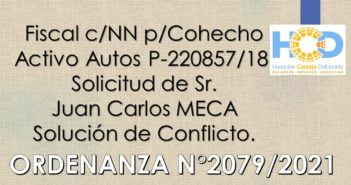 ORDENANZA N° 2.079/2.021