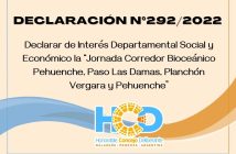 DECLARACIÓN N° 292/2.022