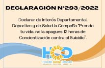 DECLARACIÓN N° 293/2.022