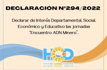 DECLARACIÓN N° 294/2.022