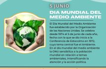 DIA MUNDIAL DEL MEDIO AMBIENTE