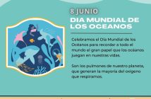 DIA MUNIDAL DE LOS OCEANOS