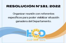 RESOLUCION N° 181/2.022