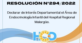 RESOLUCIÓN Nº 294/2.022